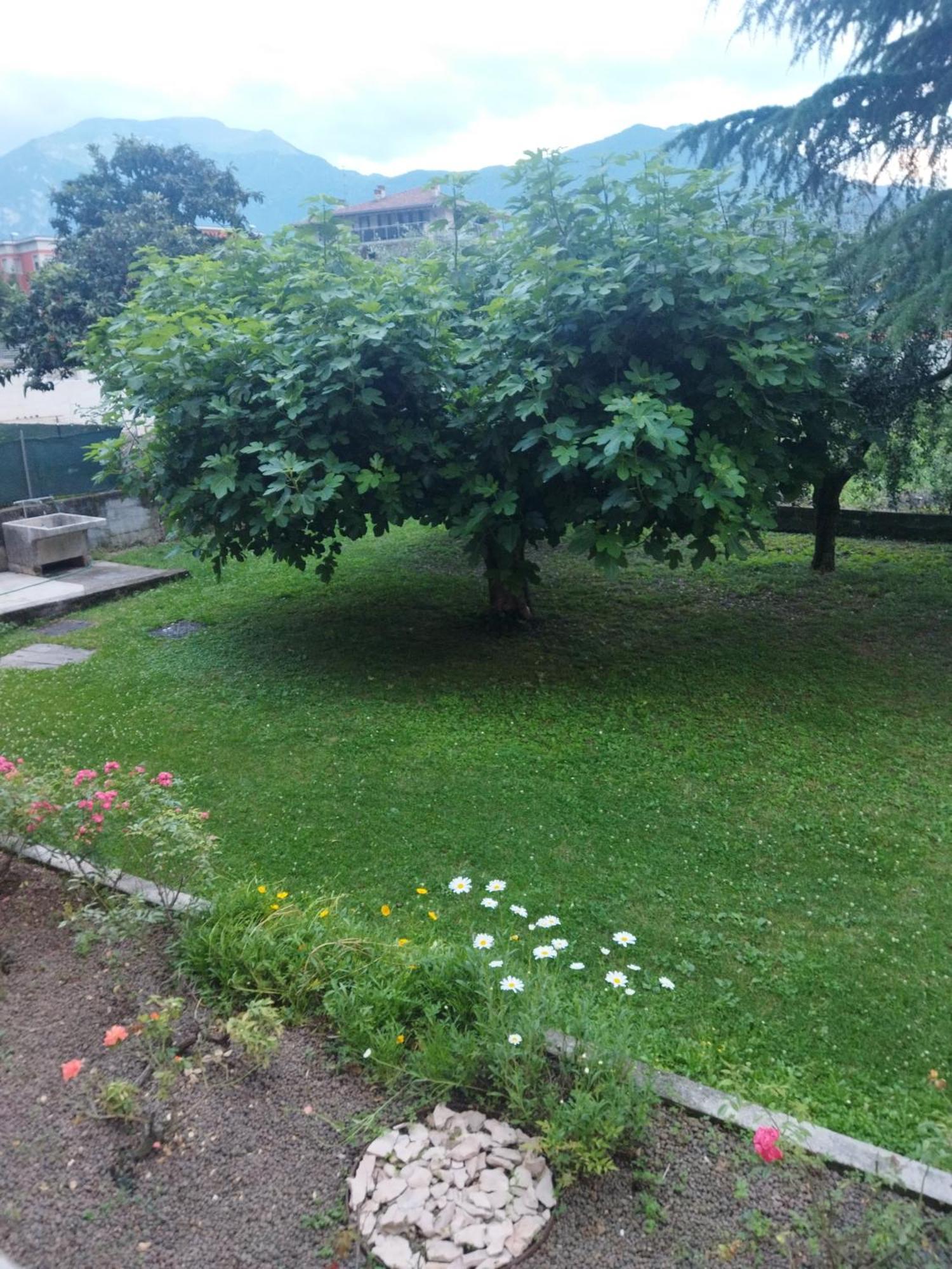 Rose Garden House Wi-Fi Lejlighed Riva del Garda Eksteriør billede